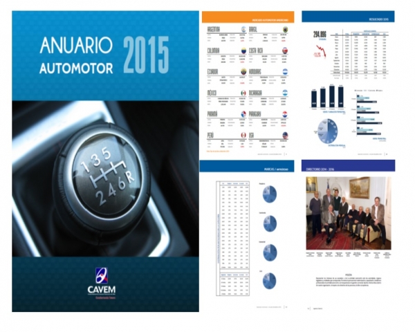 ANUARIO ESTADÍSTICO AUTOMOTOR 2015