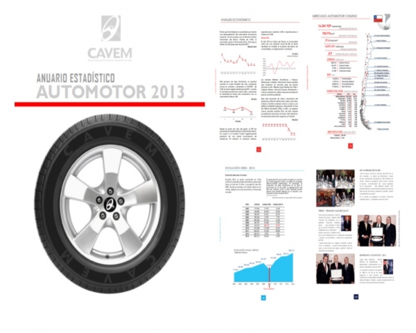 Anuario Estadístico Automotor 2013