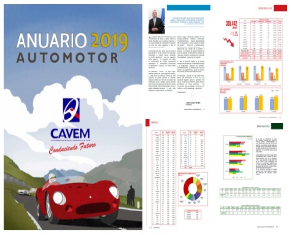 Anuario Estadístico Automotor 2019