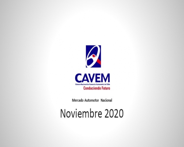 INFORME NOVIEMBRE 2020