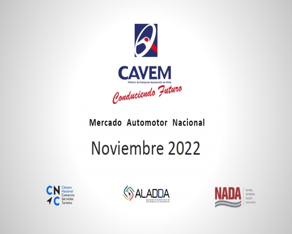 INFORME NOVIEMBRE 2022