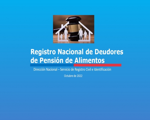 Webinar Cavem Registro Nacional De Deudores De Pensión De Alimentos 2022