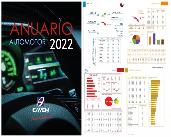 Anuario Estadístico Automotor 2022