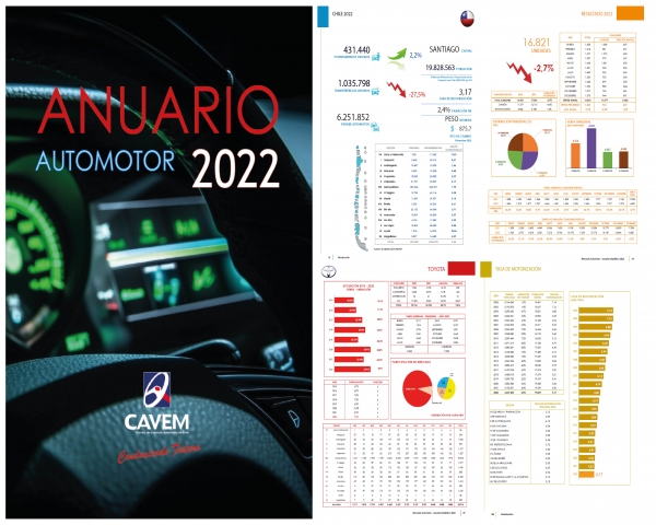 ANUARIO ESTADÍSTICO AUTOMOTOR 2022