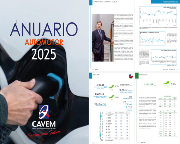 Anuario Estadístico Automotor 2025